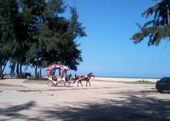 Bayu Homes
